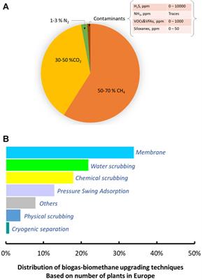 Membrane Engineering for Biogas Valorization